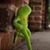 Jay Huber's profile image