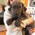 Carole Cawelti's profile image