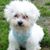 Dandy Linton's profile image