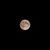Markus Roggen's profile image