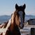 Cindy Frey's profile image