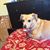 Teresa Martinez Carnero's profile image