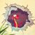 Bob Pritchard's profile image