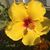 Joyce Keller's profile image