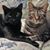 Sandy Miller's profile image
