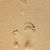 Adam Higbee's profile image