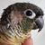 Aisha Billoo's profile image
