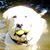 Sean Catherine Derek's profile image