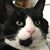Melissa Skipton's profile image