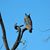 Annette Armock's profile image