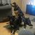 Tami Houston Fitzsimmons's profile image
