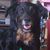 Jill Wrightington Griffin's profile image