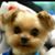 Kelly Jones's profile image