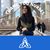 Madhuri Patel's profile image