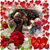 Susan Early Schick's profile image