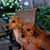 FranciscoSandra Camacho's profile image