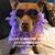 Maureen Neu Woodruff's profile image