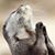 Sue Masenheimer's profile image