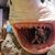 Tanya Marie Letamendi's profile image