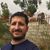 Ali Al-Hashimy's profile image
