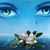 Dulse Flores's profile image