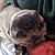 Stacy Veresan Ketchum's profile image