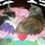 Diana Hespe Hostetter's profile image