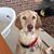 Melissa Anderson Husmann's profile image