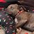 Gina Colello Gooding's profile image