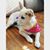 Rachel Matheson's profile image