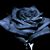 Deliah Evans's profile image