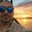 Rodrigo Salazar's profile image