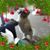 Delene Layne's profile image