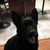 Leonardo Edwin Bobot Osias's profile image
