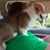 Ed Shedlock's profile image