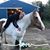 Janell Piscitelli Lumley's profile image