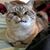 Diane Mangrum-Kirse's profile image