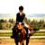 Stephanie Secrest Abbey's profile image