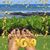 Gayle Drager's profile image
