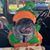 Tammy Mirra's profile image