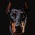Jo Sisko's profile image