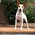 Marie Tivis's profile image