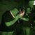 Rawleigh Emmons's profile image