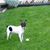 Bella Lage's profile image