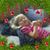 Brigitte Halleran's profile image