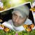Hernandez Roque Raul's profile image