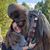 Powell Hellen's profile image