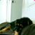 Debra Pooler's profile image