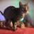 Laura McClain's profile image