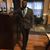 Howard Jefferson Vereen's profile image